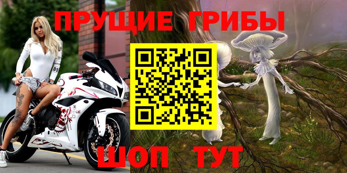 закладки  Псилоцибиновые грибы Cubensis  Жигулёвск  Вход с VPN  Галлюциногенные грибы Psilocybe 