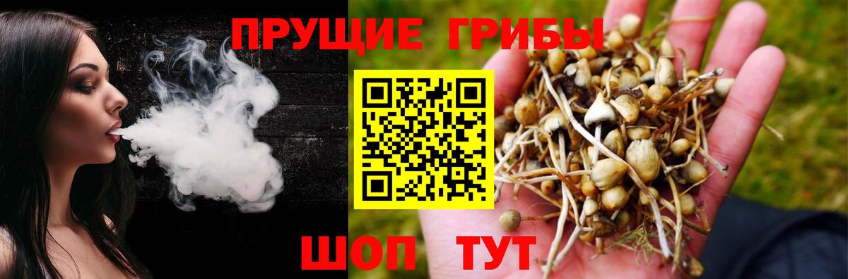Псилоцибиновые грибы ЛСД Жигулёвск